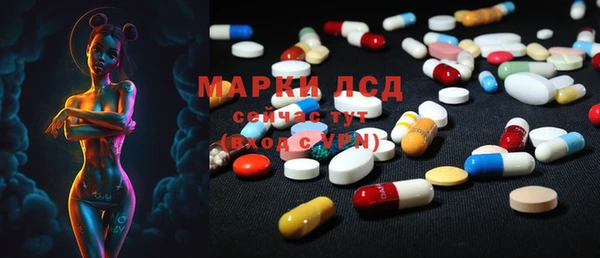 стаф Арсеньев