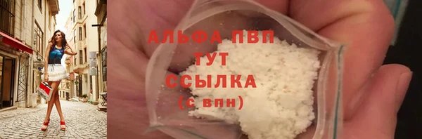 стаф Арсеньев