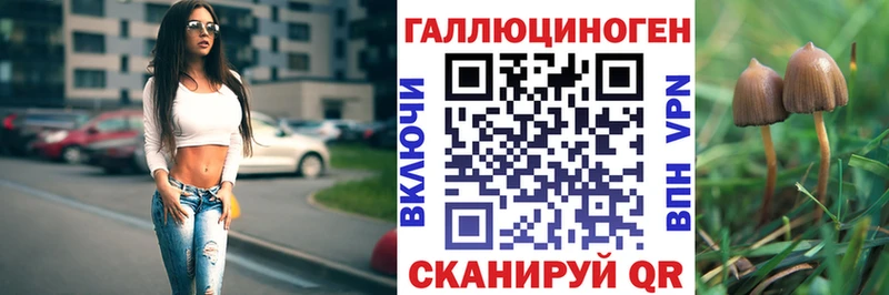 Псилоцибиновые грибы ЛСД  как найти   Сунжа 